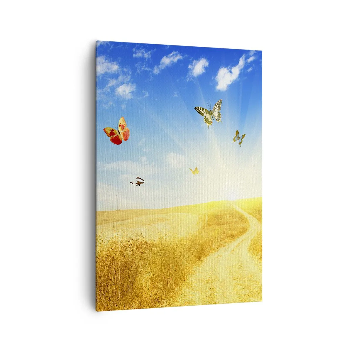 Bild auf Leinwand - Leinwandbild - Ein goldenes Feld, ein Pfad und Schmetterlinge vor einem blauen Himmel - 70x100cm - Und wie kann man den Sommer nicht lieben? - Moderne Wanddekoration für Wohnzimmer und Schlafzimmer ARTTOR