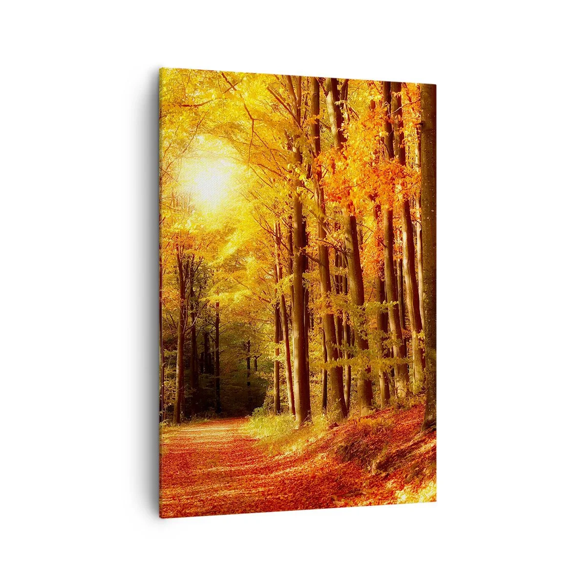 Bild auf Leinwand - Leinwandbild - Herbstwald mit Sonnenstrahlen, die durch die Bäume scheinen - 70x100cm - Goldener Herbst auf einer Forststraße - Moderne Wanddekoration für Wohnzimmer und Schlafzimmer ARTTOR