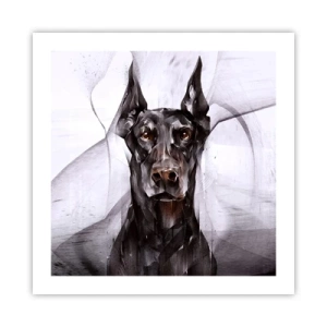 Poster - Edelgeboren - 50x50 cm