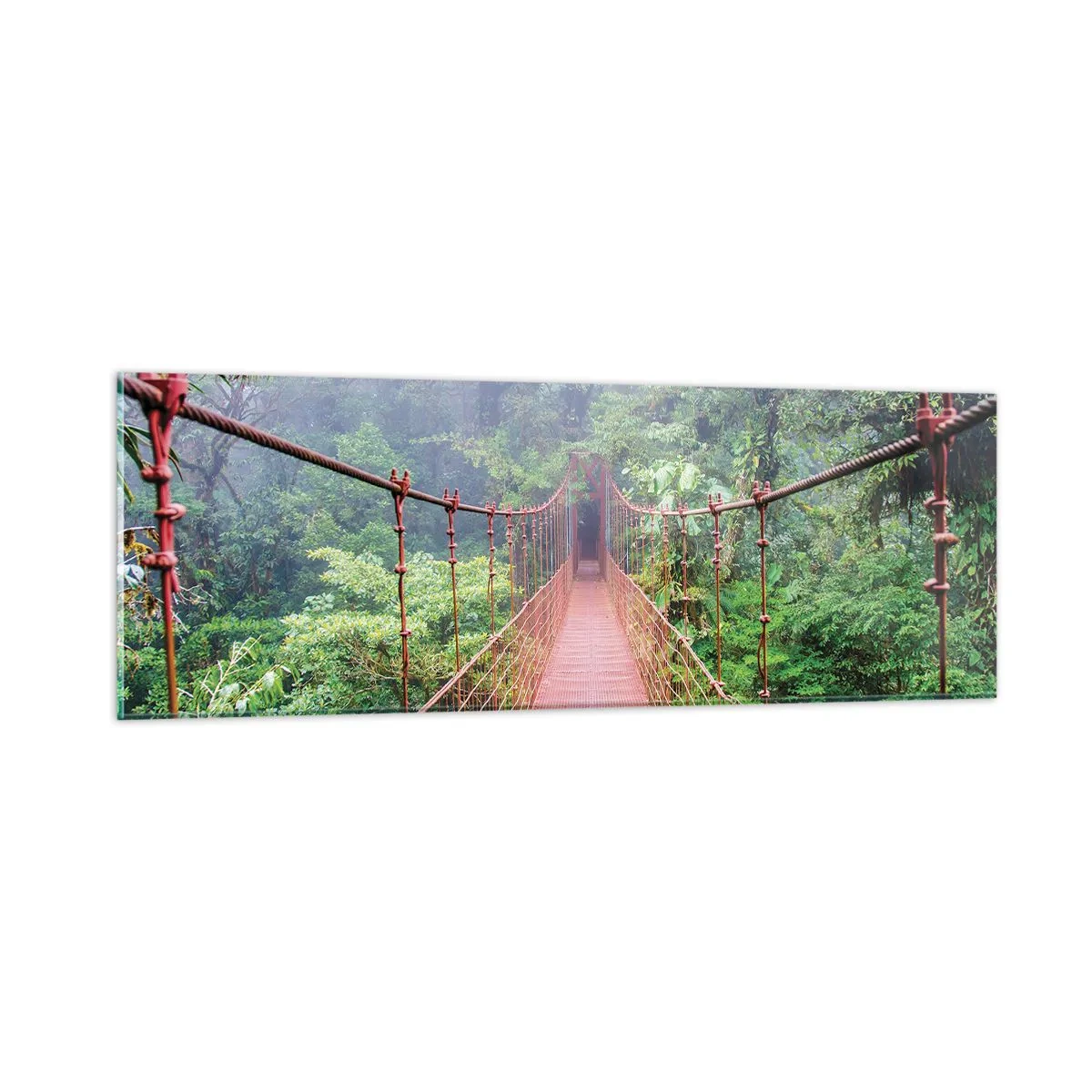 Glasbild - Bild auf glas - Über den Kronen aufgehängt - 90x30 cm