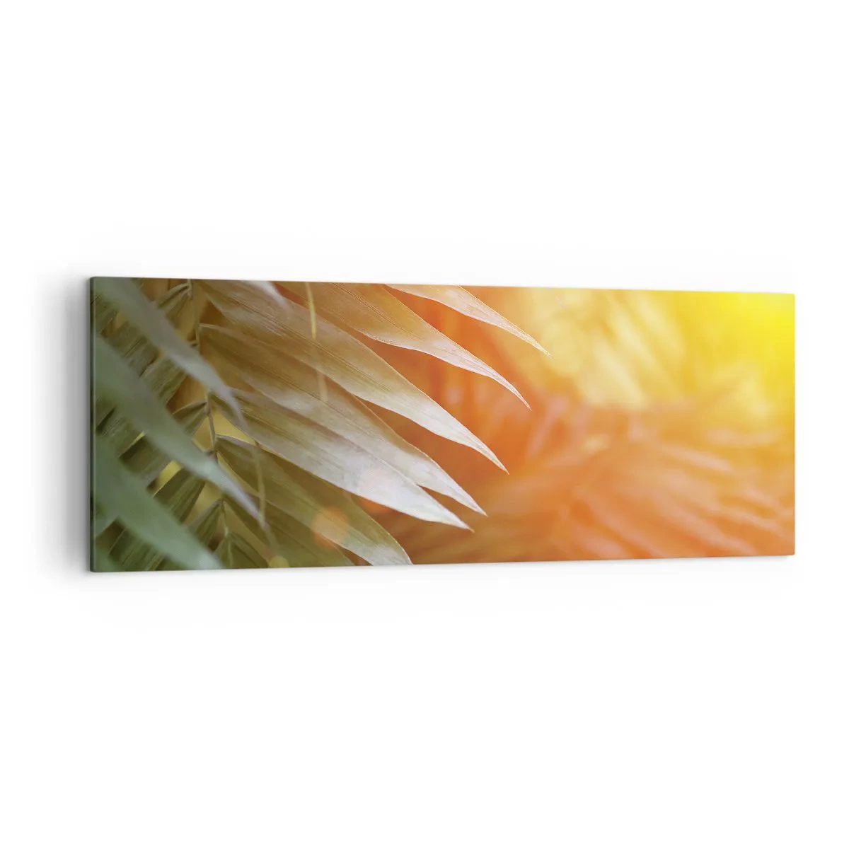 Bild auf Leinwand - Leinwandbild - Palmblätter in den Strahlen des Sonnenuntergangs - 140x50cm - Morgen im Dschungel - Moderne Wanddekoration für Wohnzimmer und Schlafzimmer ARTTOR