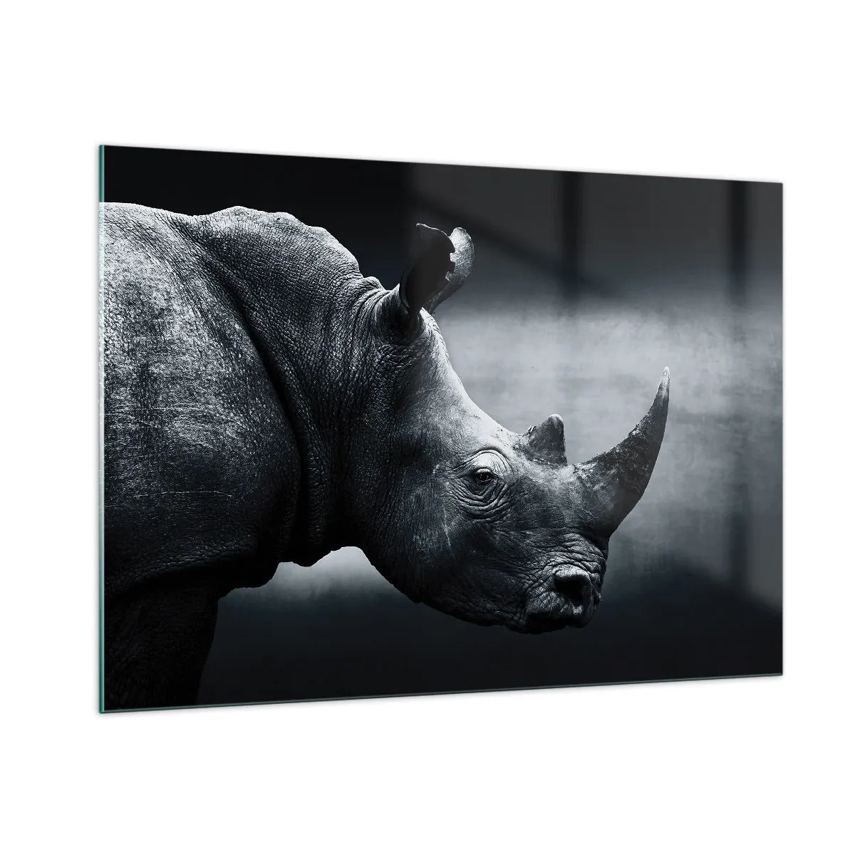 Glasbild - Bild auf glas - Schwarz-Weiß-Aufnahme eines Nashorns - 100x70cm - Richtiges Profil - Moderne Wanddekoration für Wohnzimmer und Schlafzimmer ARTTOR
