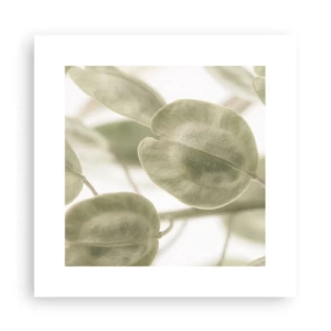 Poster - Am Anfang waren Blätter... - 30x30 cm