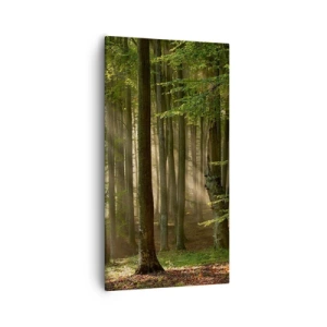 Bild auf Leinwand - Leinwandbild - Strahlend an einem Frühlingsmorgen - 55x100 cm