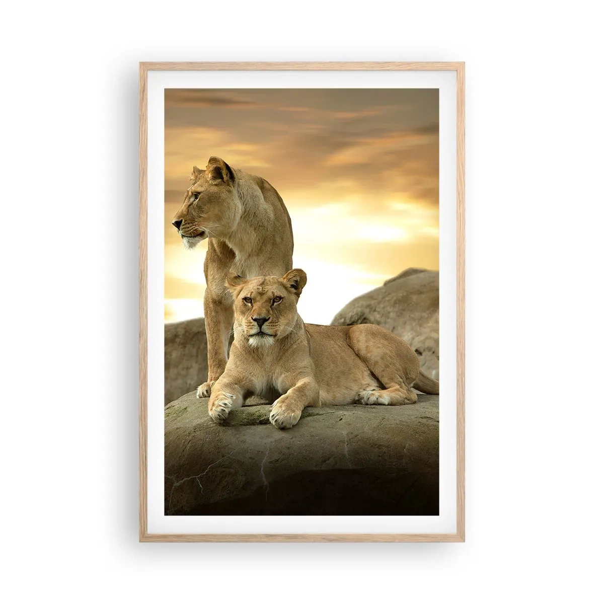 Poster in einem Rahmen aus heller Eiche - Königliche Majestät - 61x91 cm