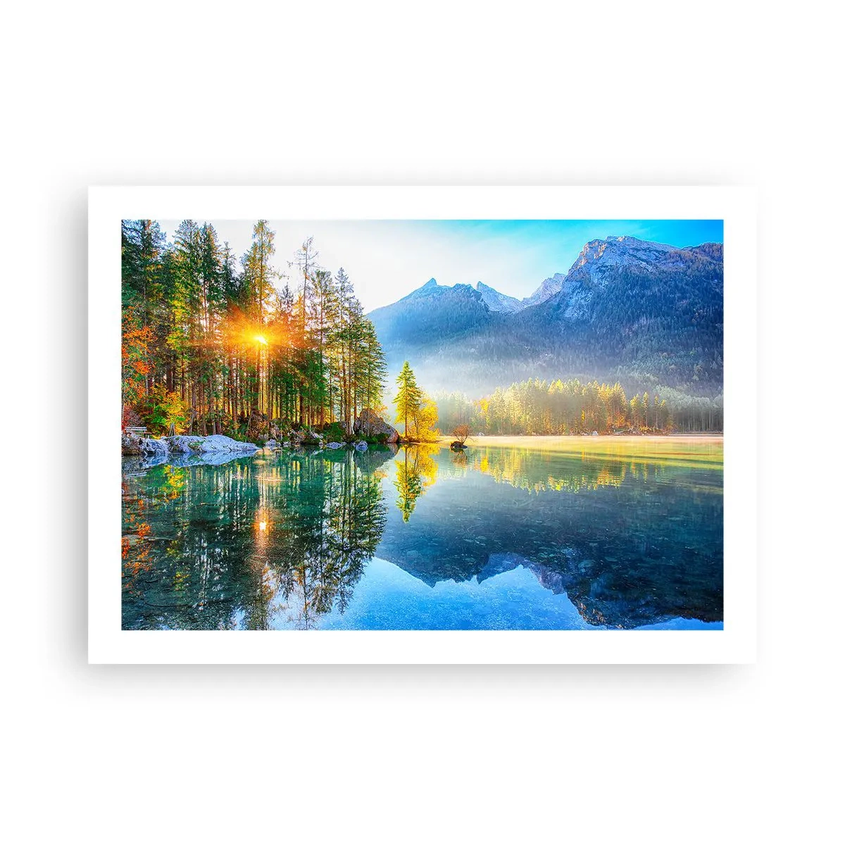 Poster - Majestät und Süße - 70x50 cm