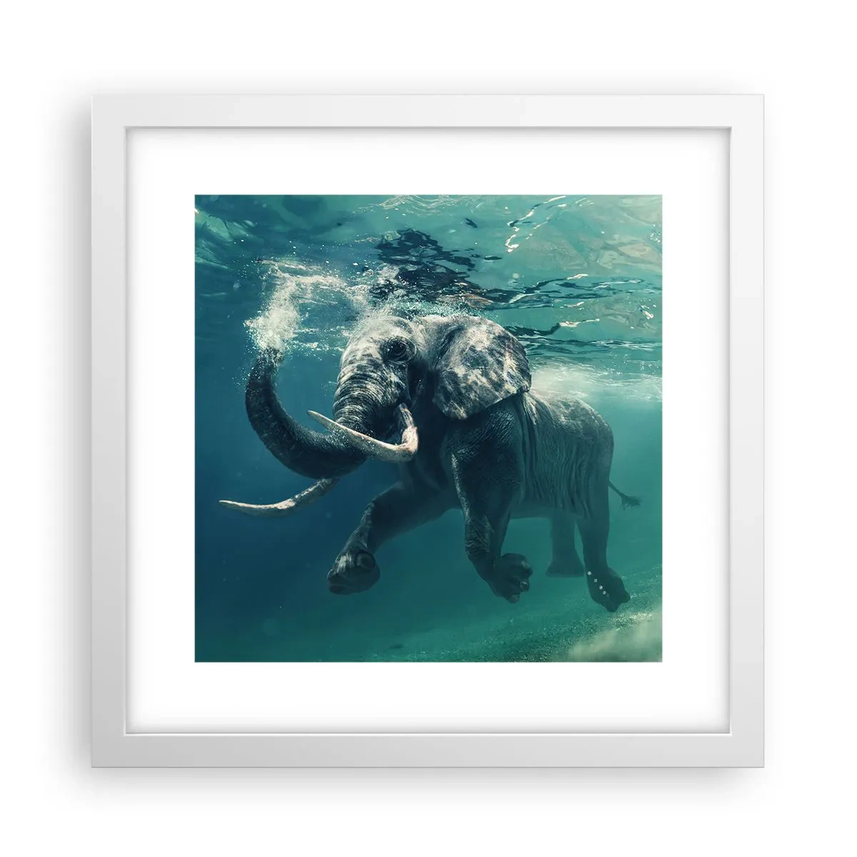Poster in einem weißen Rahmen - Jeder schwimmt gerne - 30x30 cm