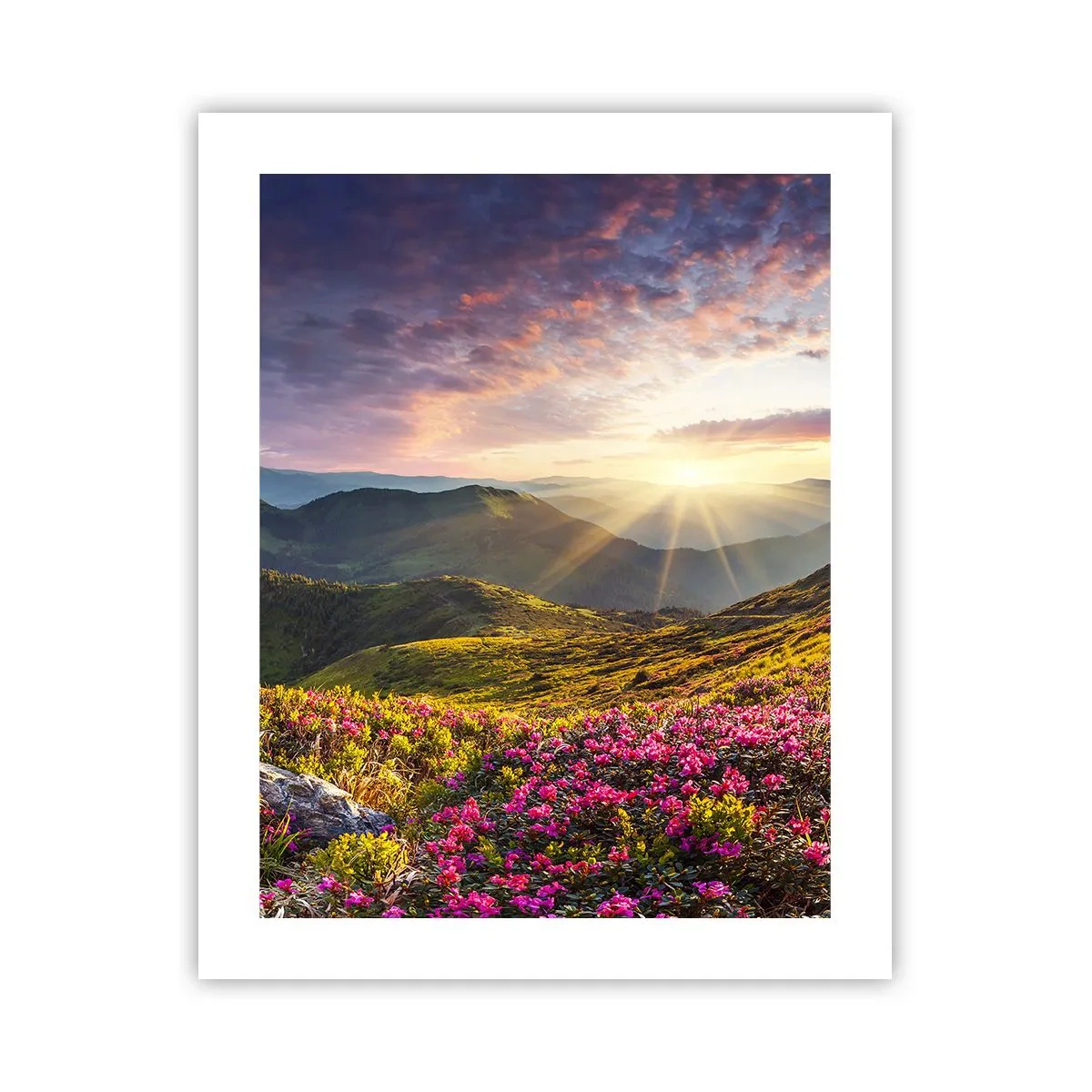 Poster - Frische am Bergmorgen - 40x50 cm