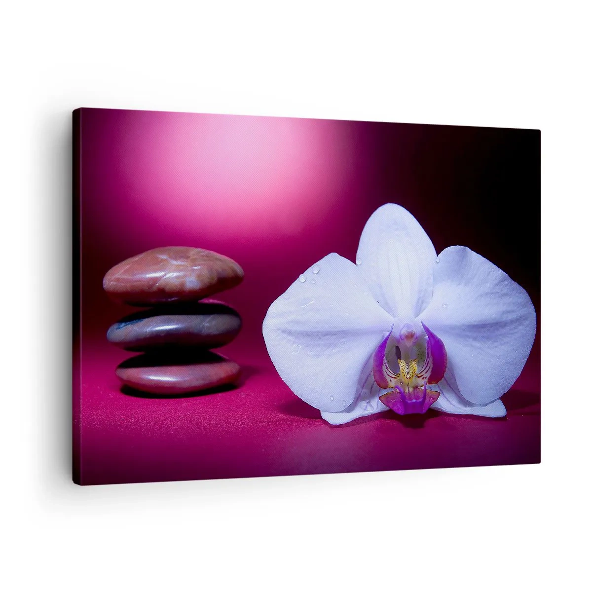 Bild auf Leinwand - Leinwandbild - Weiße Orchidee und Steine auf rosa Hintergrund - 70x50cm - Eine Studie der Frische in Lila - Moderne Wanddekoration für Wohnzimmer und Schlafzimmer ARTTOR