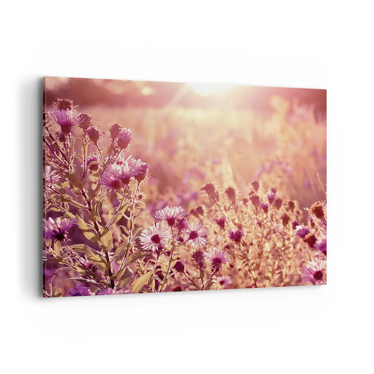 Bild auf Leinwand - Leinwandbild - Wiese im Licht der untergehenden Sonne - 100x70cm - Bevor der Sommer vorbei ist - Moderne Wanddekoration für Wohnzimmer und Schlafzimmer ARTTOR