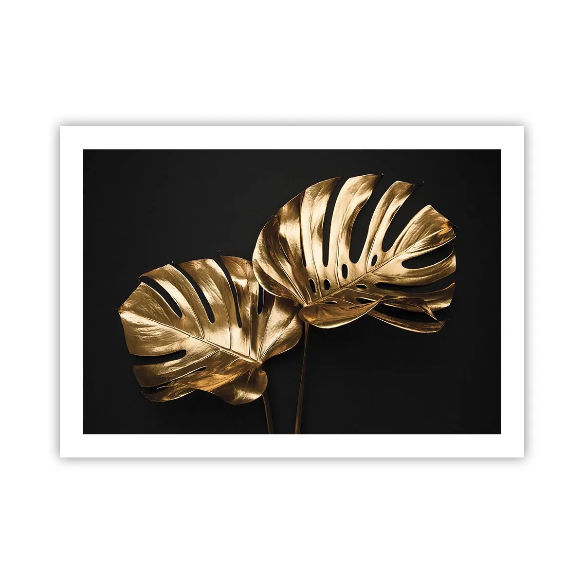 Poster - Die Schätze der Natur - 70x50 cm