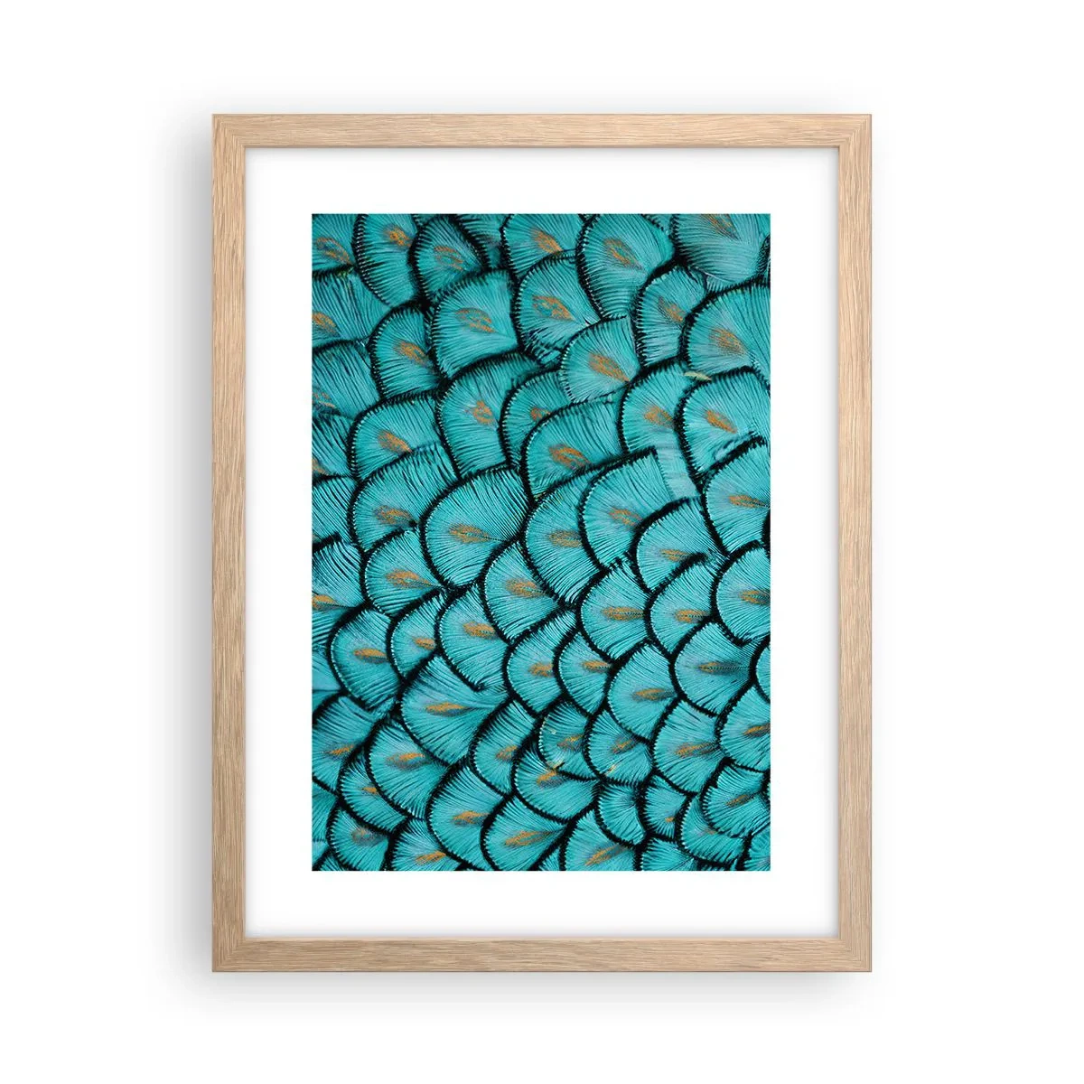 Poster in einem Rahmen aus heller Eiche - Große Federgala - 30x40 cm