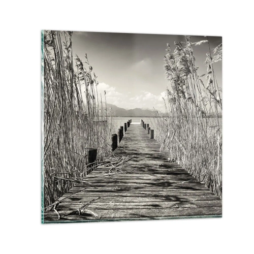 Glasbild - Bild auf glas - In der Stille des Grases - 50x50 cm