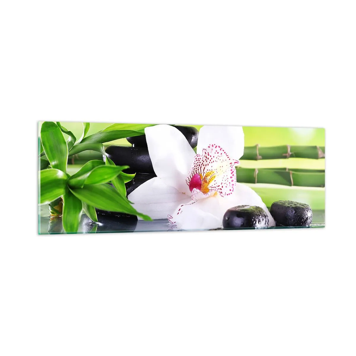 Glasbild - Bild auf glas - Kühle Frische - 90x30 cm