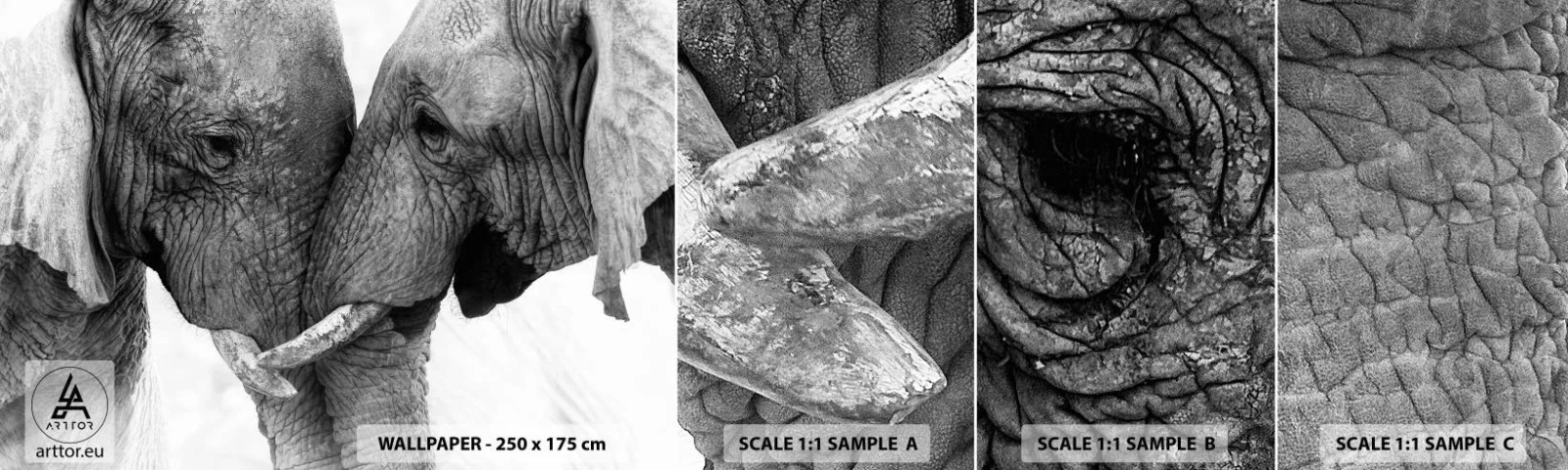 Fototapetenmuster Standard Eco - Herzliches Geständnis - Elefant, Tiere, Afrika - 100x30 cm