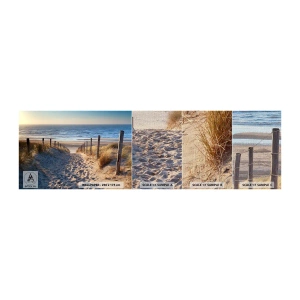Fototapeten Muster Premium Canvas - Das Rauschen des Meeres, der Gesang der Vögel, ein wilder Strand im Gras ... - Landschaft, Strand, Dünen - 100x30 cm