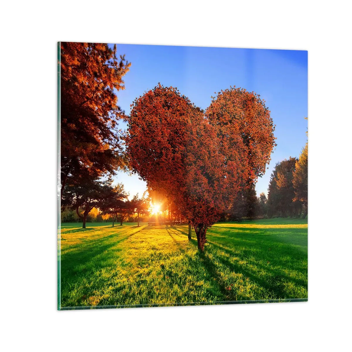 Glasbild - Bild auf glas - Und wie man den Herbst nicht liebt - 70x70 cm