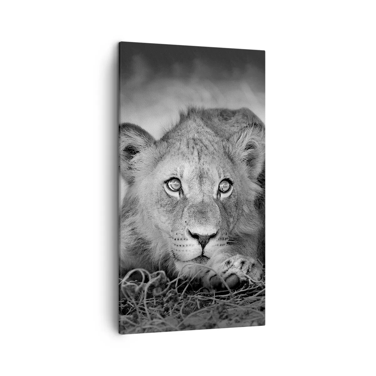 Bild auf Leinwand - Leinwandbild - Königlicher Welpe - 45x80 cm