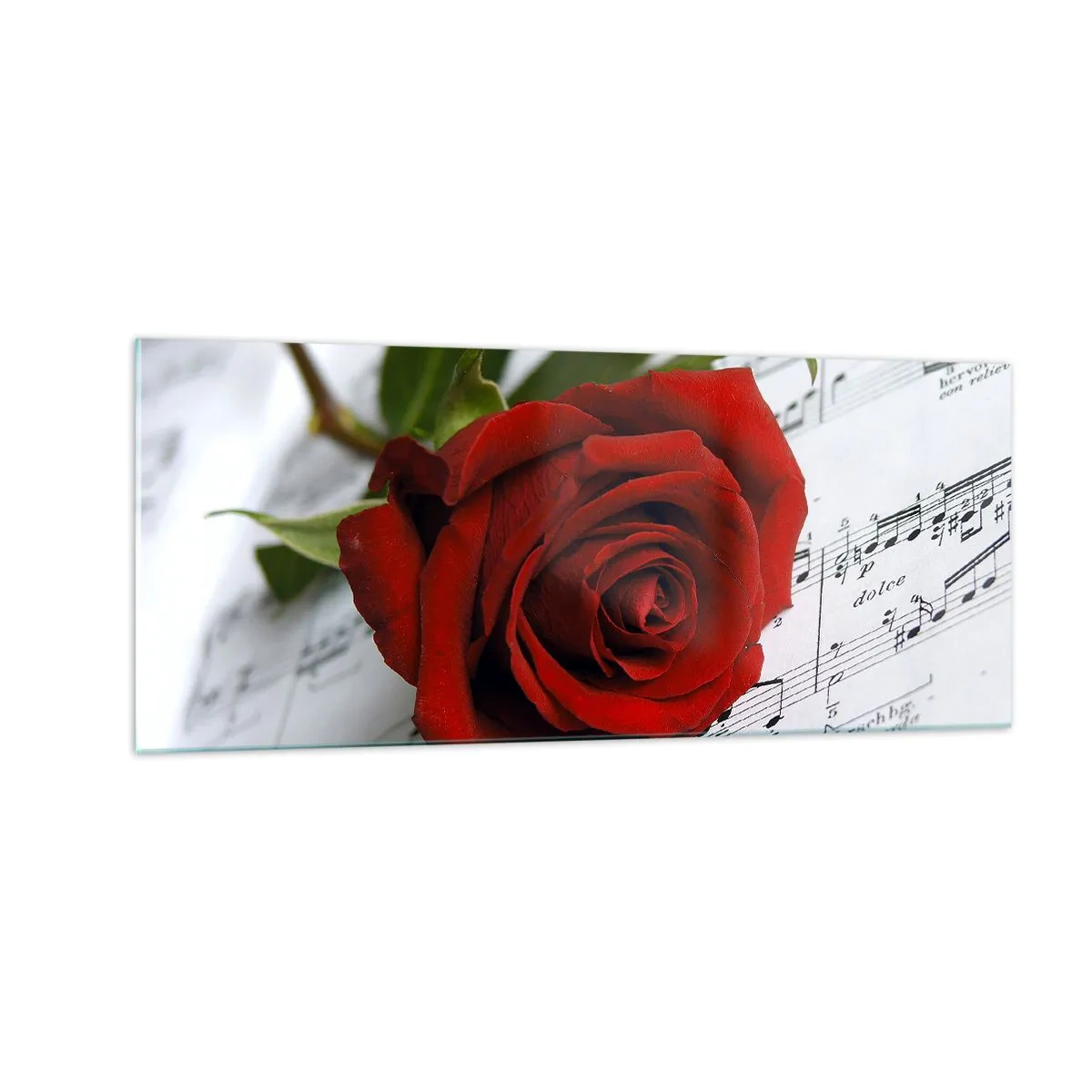 Glasbild - Bild auf glas - Musik der Gefühle in Scharlach - 100x40 cm
