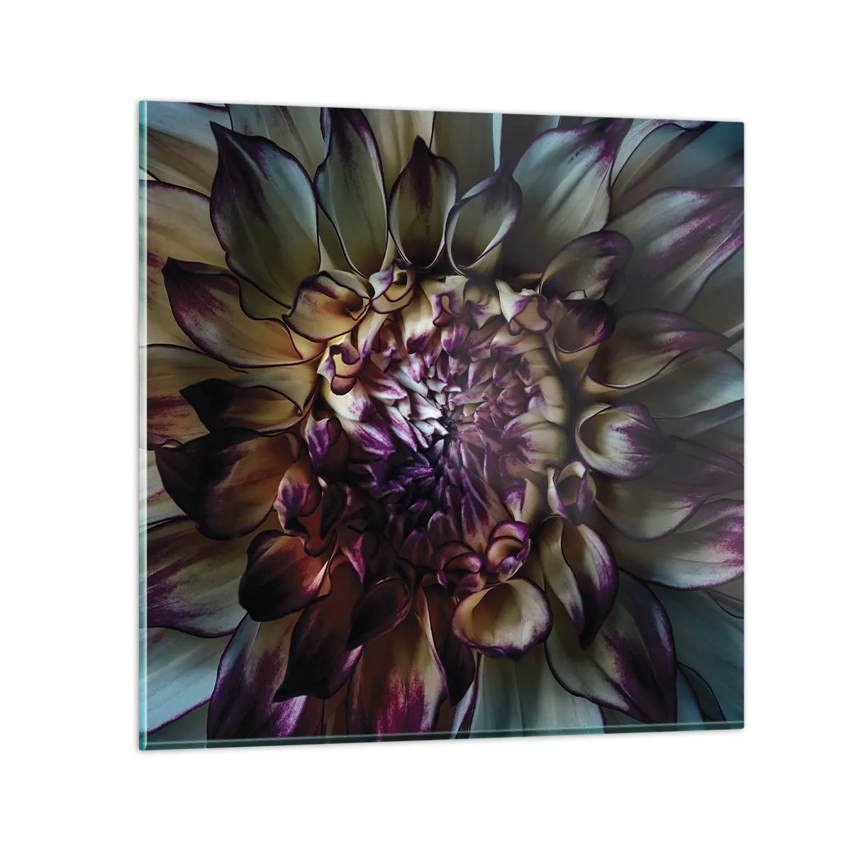 Glasbild - Bild auf glas - Die Blütezeit der Jugend - 60x60 cm