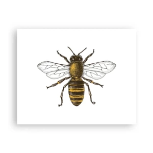 Poster - Schön und gut - 50x40 cm