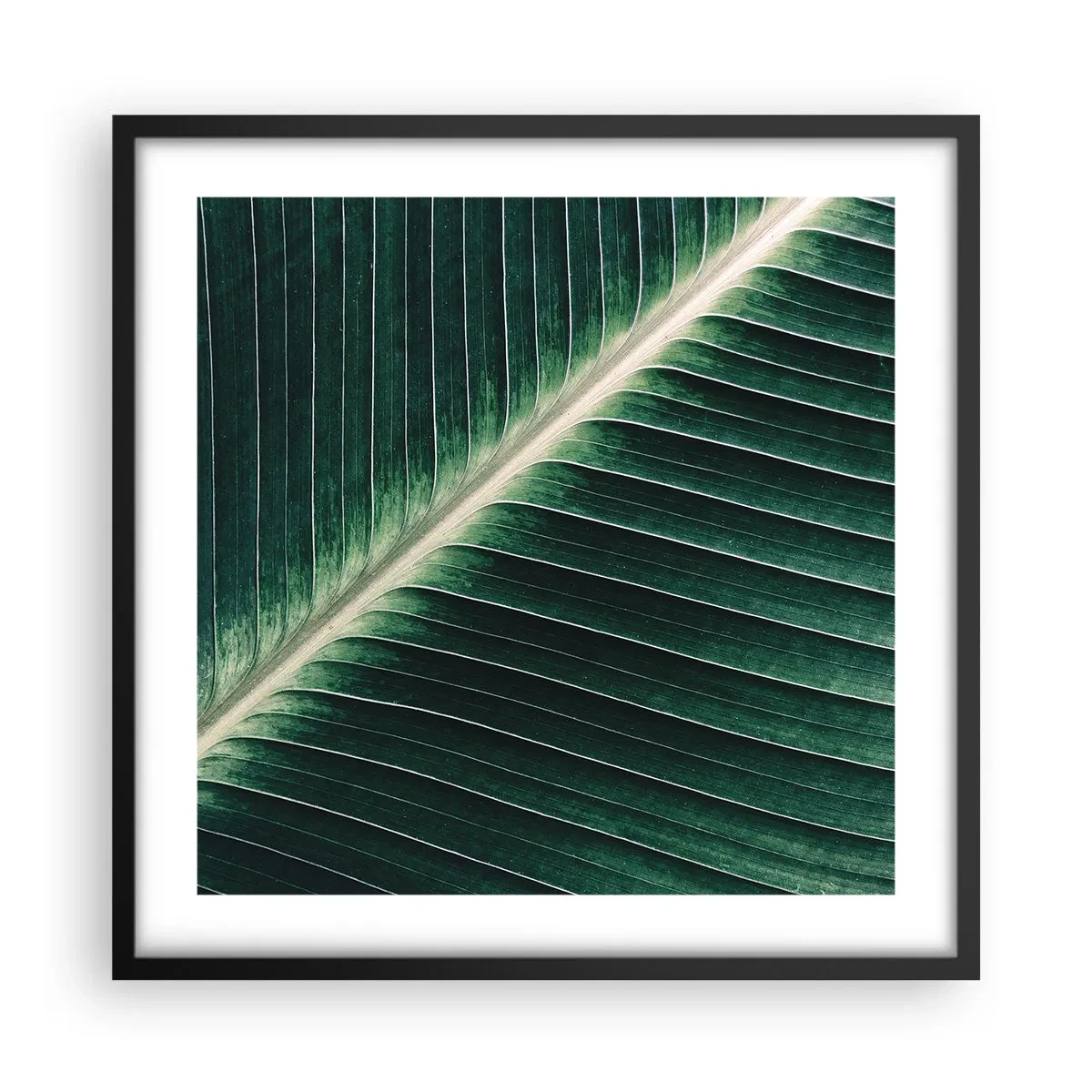 Poster in einem schwarzem Rahmen - Rhythmus der Natur - 50x50 cm