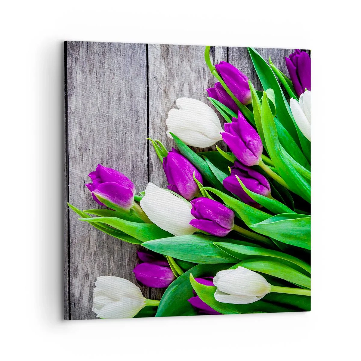 Bild auf Leinwand - Leinwandbild - Am Tag der Frühlingsferien - 50x50 cm