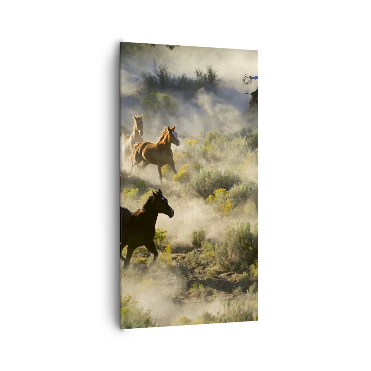 Bild auf Leinwand - Leinwandbild - Rivalität – Freiheit oder männliche Stärke? - 65x120 cm