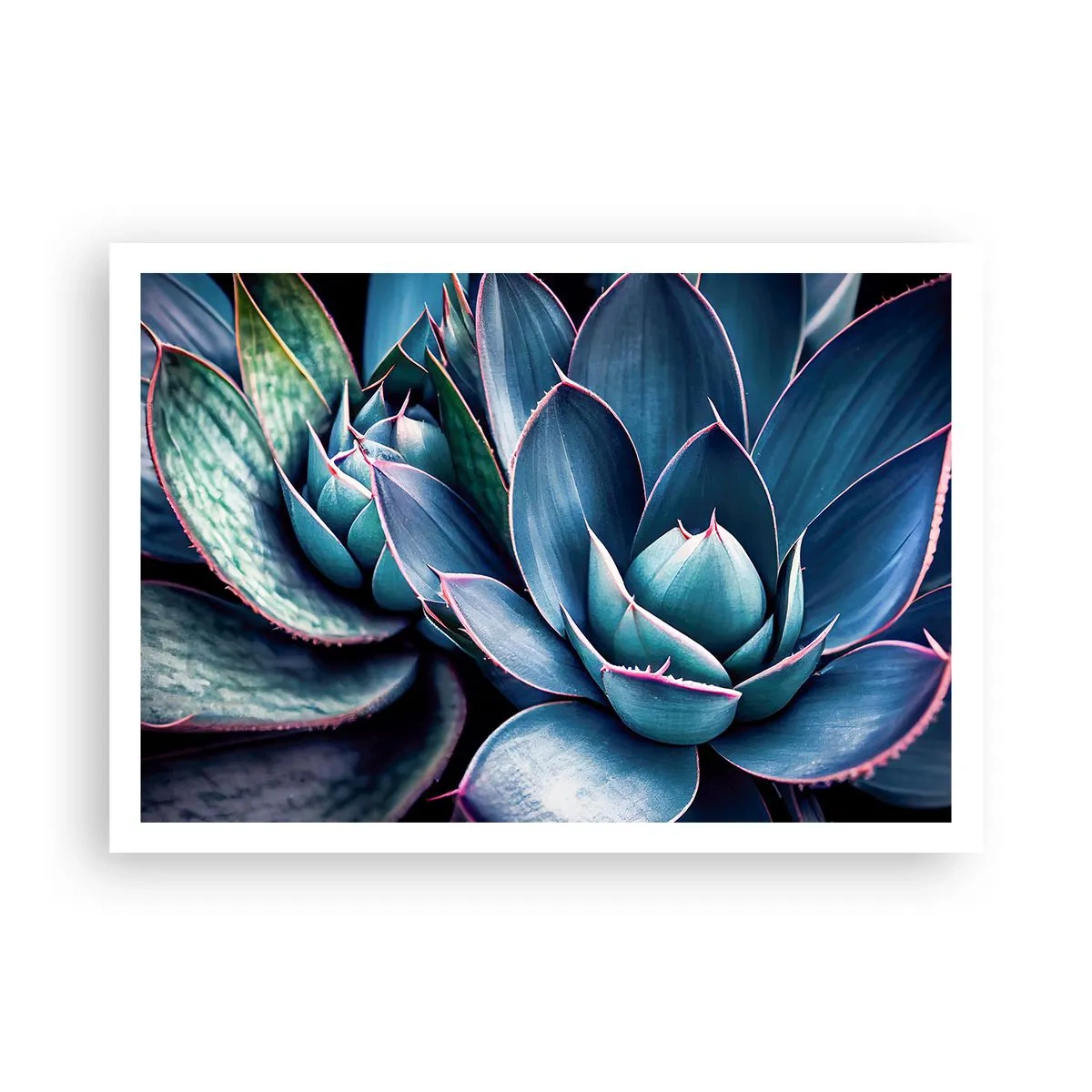 Poster - Agave in Blau- und Grüntönen mit rosa Akzenten - 100x70cm - Lebenskraft - Moderne Wanddekoration für Wohnzimmer und Schlafzimmer ARTTOR
