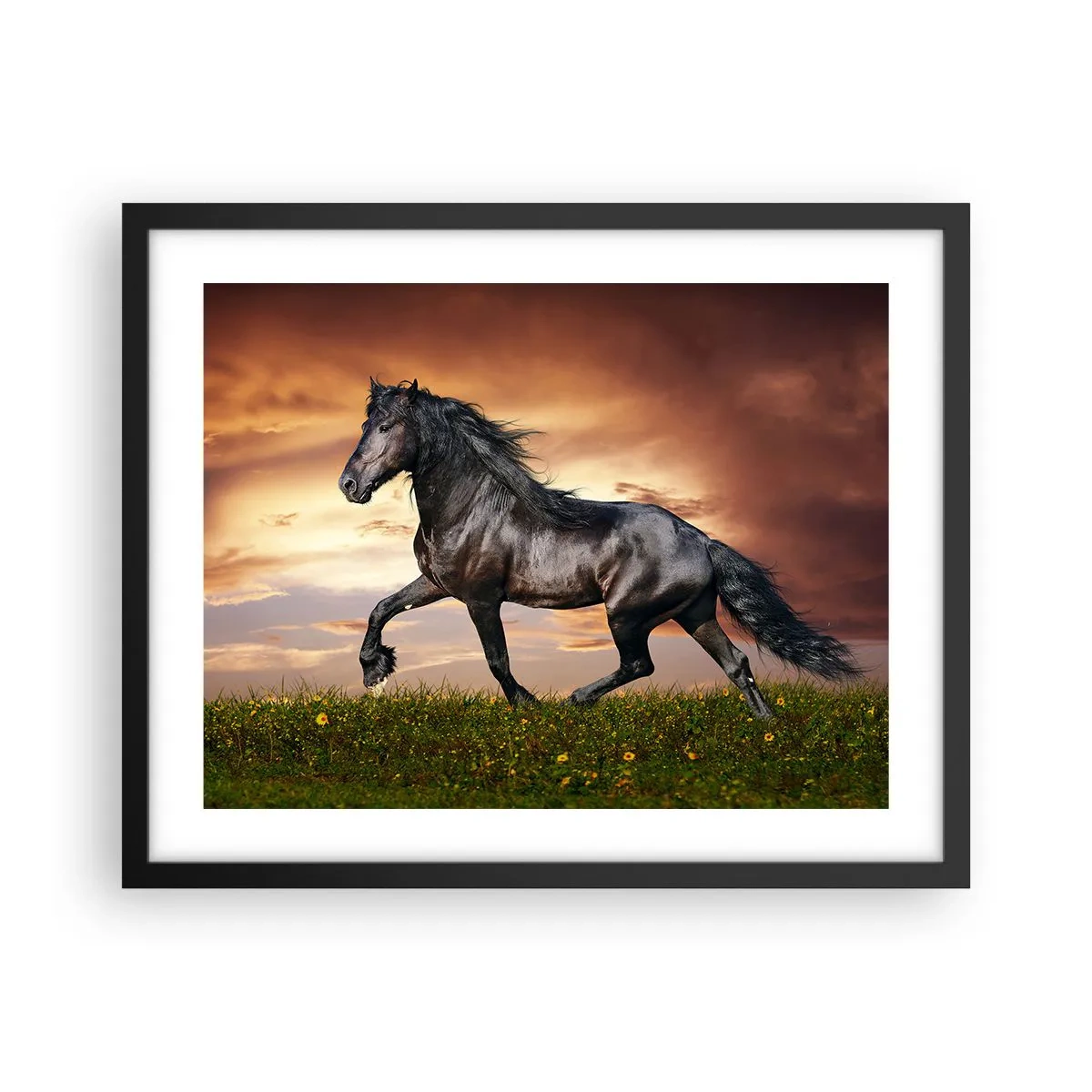 Poster in einem schwarzem Rahmen - Schwarzer Prinz - 50x40 cm
