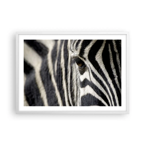 Poster in einem weißen Rahmen - Gestreiftes Porträt - 70x50 cm