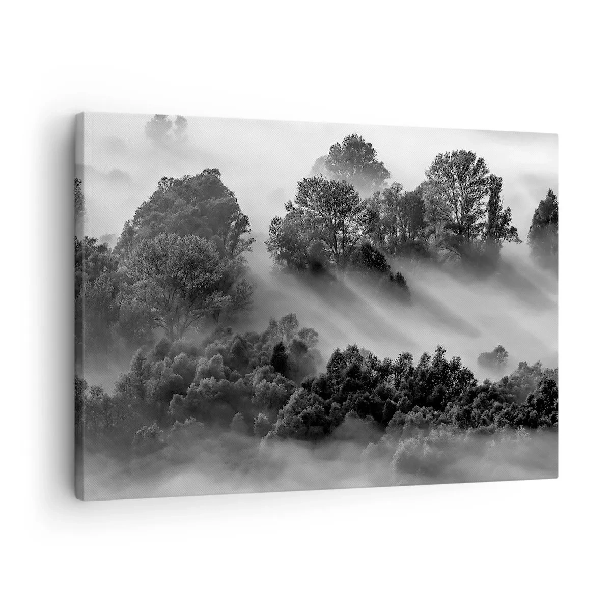 Bild auf Leinwand - Leinwandbild - Schwarz-weiße Waldlandschaft im Morgennebel - 70x50cm - Aufstehend aus dem Schlaf - Moderne Wanddekoration für Wohnzimmer und Schlafzimmer ARTTOR