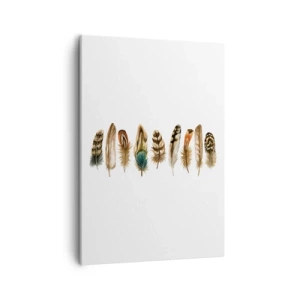 Bild auf Leinwand - Leinwandbild - Dekoratives Motiv einer Sammlung verschiedener Federn - 50x70cm - Eine federleichte Variante - Moderne Wanddekoration für Wohnzimmer und Schlafzimmer ARTTOR
