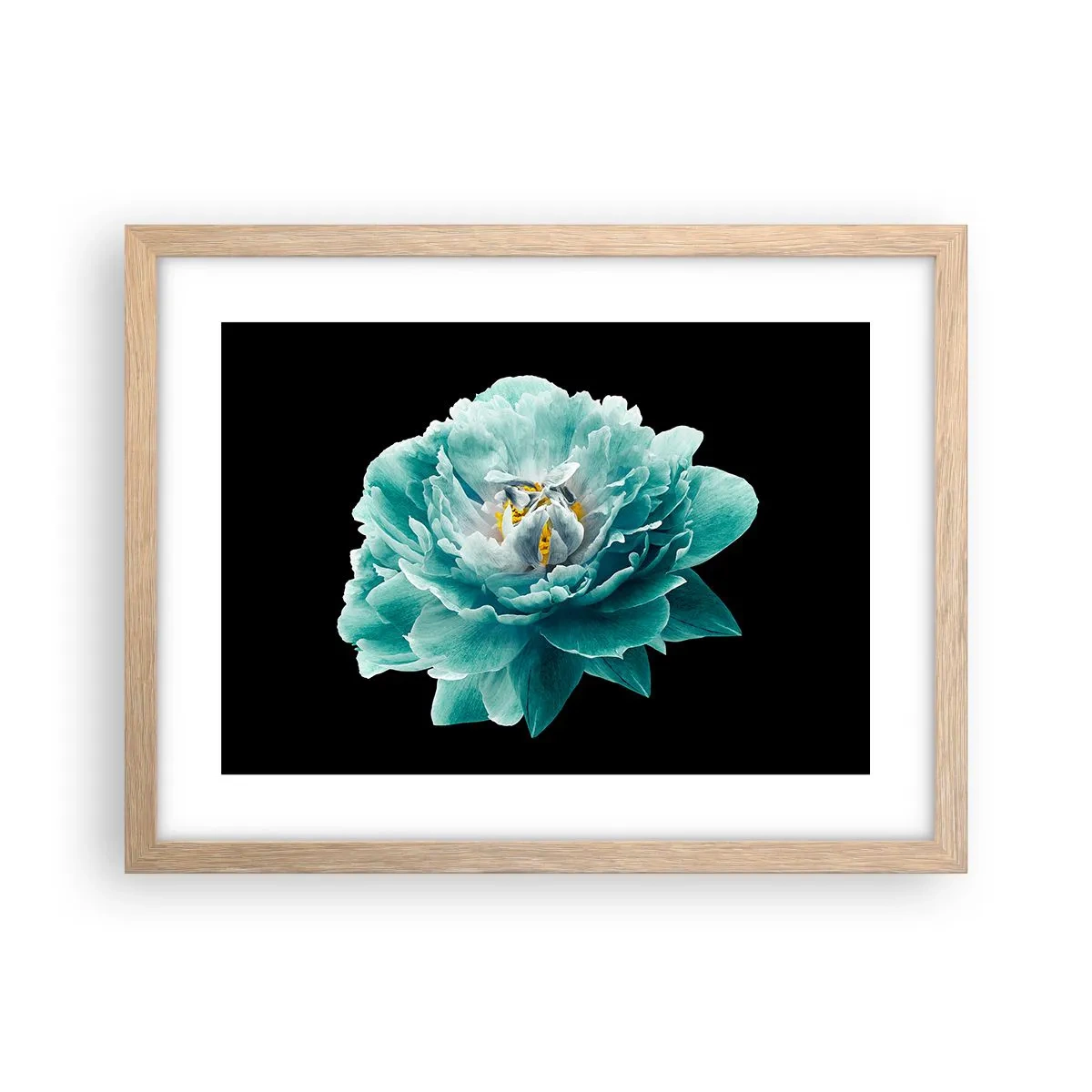 Poster in einem Rahmen aus heller Eiche - Blaue und goldene Blütenblätter - 40x30 cm