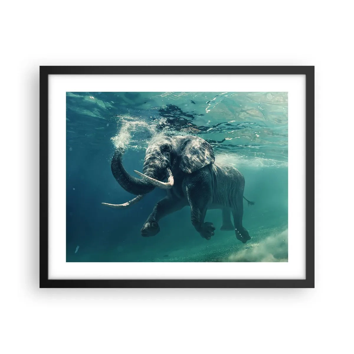 Poster in einem schwarzem Rahmen - Jeder schwimmt gerne - 50x40 cm