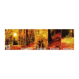 Fototapeten Muster Selbstklebend Deluxe Sticker - Goldener Herbst auf einer Forststraße - Herbst, Wald, Landschaft - 100x30 cm