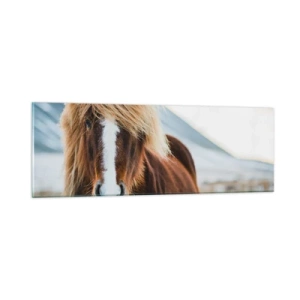 Glasbild - Bild auf glas - Spürst du die Freiheit? - 90x30 cm