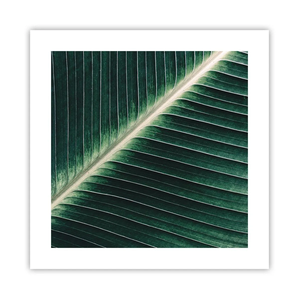 Poster - Rhythmus der Natur - 40x40 cm