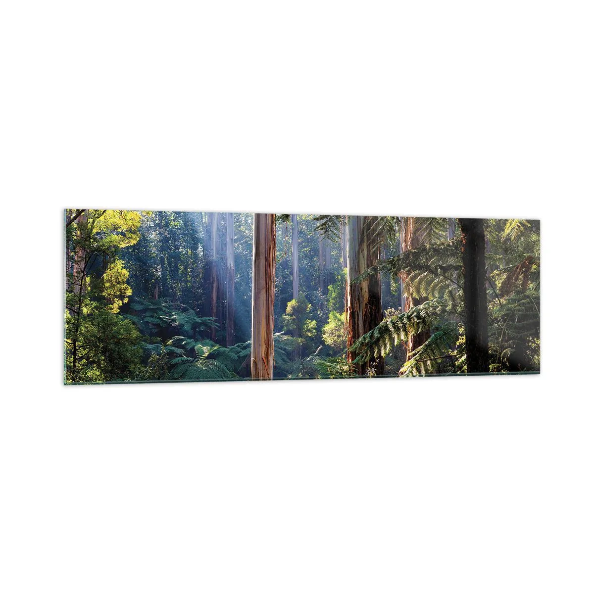 Glasbild - Bild auf glas - Tropischer Wald, beleuchtet von den Sonnenstrahlen - 160x50cm - Ein Waldmärchen - Moderne Wanddekoration für Wohnzimmer und Schlafzimmer ARTTOR