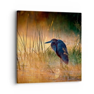 Bild auf Leinwand - Leinwandbild - Komm, gib mir eine Pause mit diesen Fotos - 40x40 cm