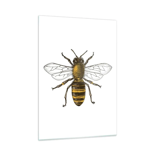 Glasbild - Bild auf glas - Detaillierte Darstellung einer Biene auf weißem Hintergrund - 50x70cm - Schön und gut - Moderne Wanddekoration für Wohnzimmer und Schlafzimmer ARTTOR