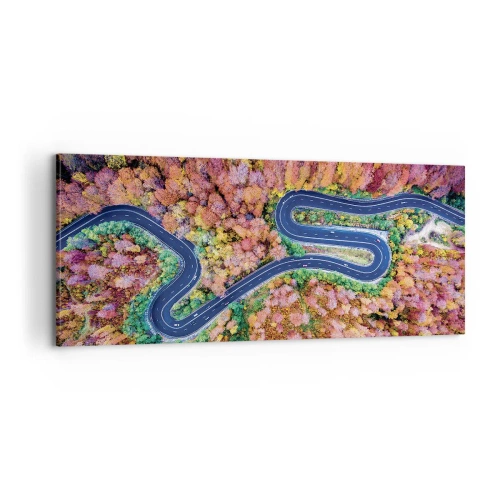 Bild auf Leinwand - Leinwandbild - Kurvenreicher Weg durch den Wald - 100x40 cm
