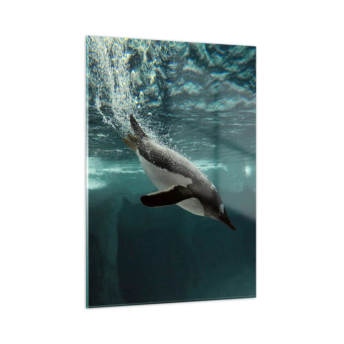 Glasbild - Bild auf glas - Pinguin unter Wasser - 50x70cm - Willkommen in meiner Welt - Moderne Wanddekoration für Wohnzimmer und Schlafzimmer ARTTOR