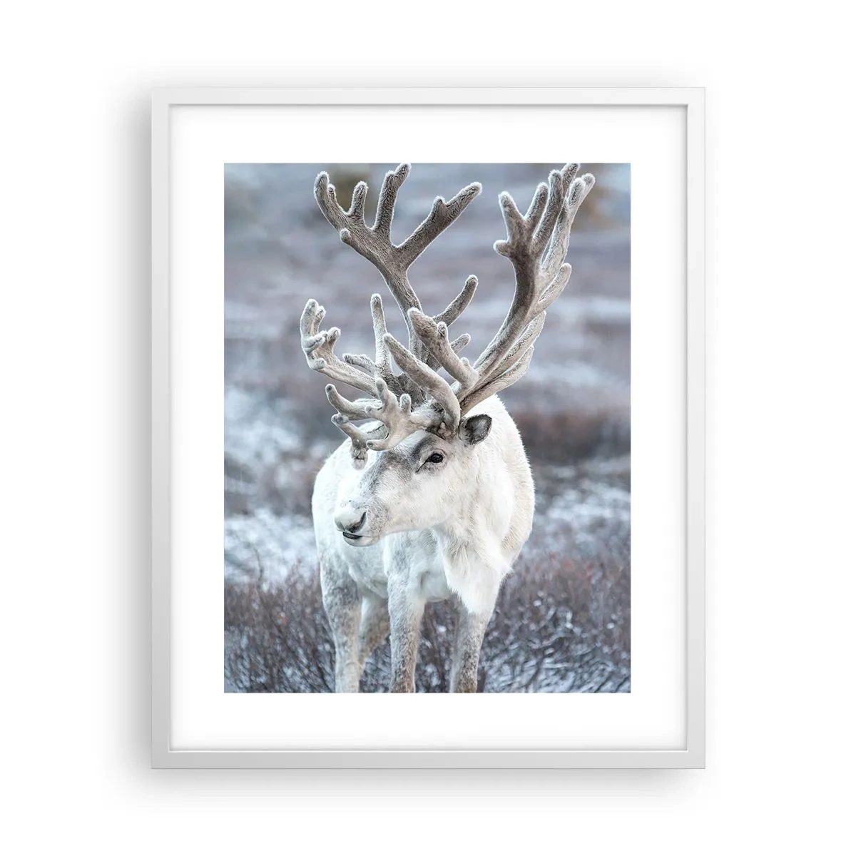 Poster in einem weißen Rahmen - Porträt in der Sonne - 40x50 cm