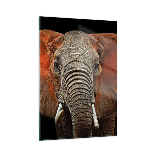 Glasbild - Bild auf glas - Porträt eines majestätischen Elefanten vor schwarzem Hintergrund - 50x70cm - Ich bin wild und du? - Moderne Wanddekoration für Wohnzimmer und Schlafzimmer ARTTOR