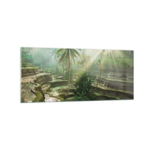 Glasbild - Bild auf glas - Reisterrassen mit Palmen in den Sonnenstrahlen - 120x50cm - In der Sonne aufwachsen - Moderne Wanddekoration für Wohnzimmer und Schlafzimmer ARTTOR