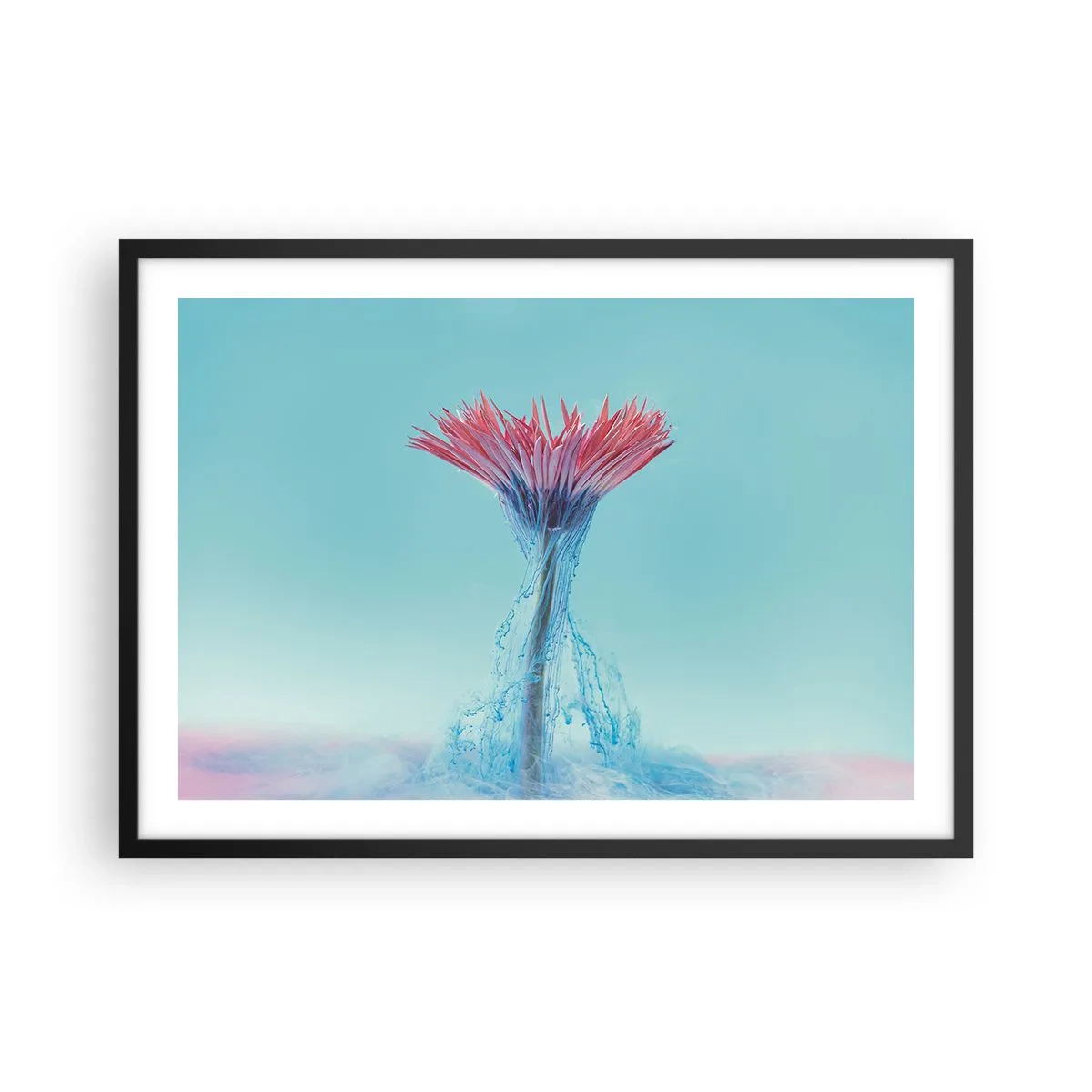 Poster in einem schwarzem Rahmen - Eine rosa und blaue Blume in einem künstlerischen Arrangement vor einem pastellfarbenen Hintergrund - 70x50cm - In einer belebenden Umarmung - Moderne Wanddekoration für Wohnzimmer und Schlafzimmer ARTTOR