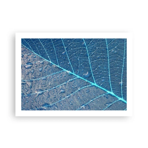 Poster - Leben in Blau - 70x50 cm