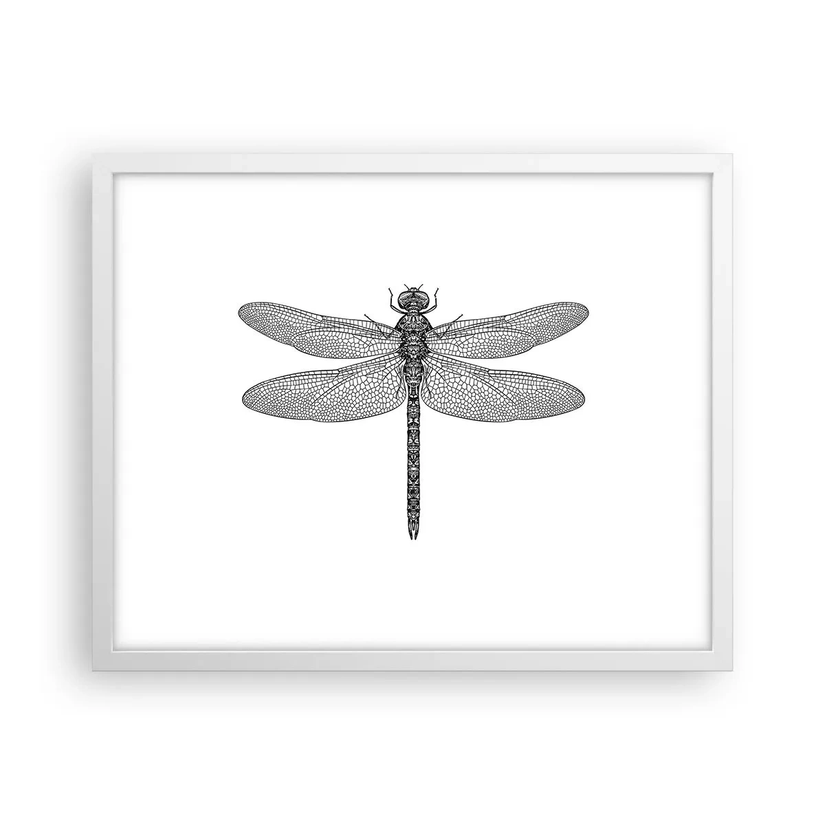 Poster in einem weißen Rahmen - Präzision der Natur - 50x40 cm