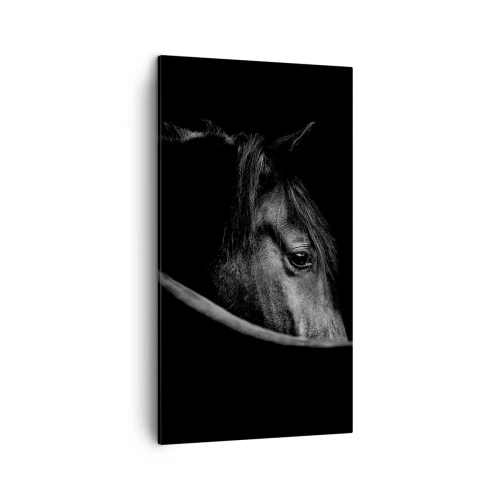 Bild auf Leinwand - Leinwandbild - Schwarzer Prinz - 45x80 cm